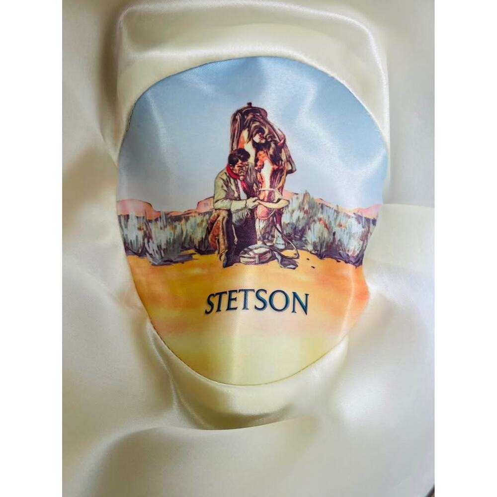 Stetson Tan Cowboy Hat Feather Accent - Picture 3 of 10